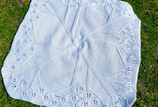 Pledukas „Pelėda”