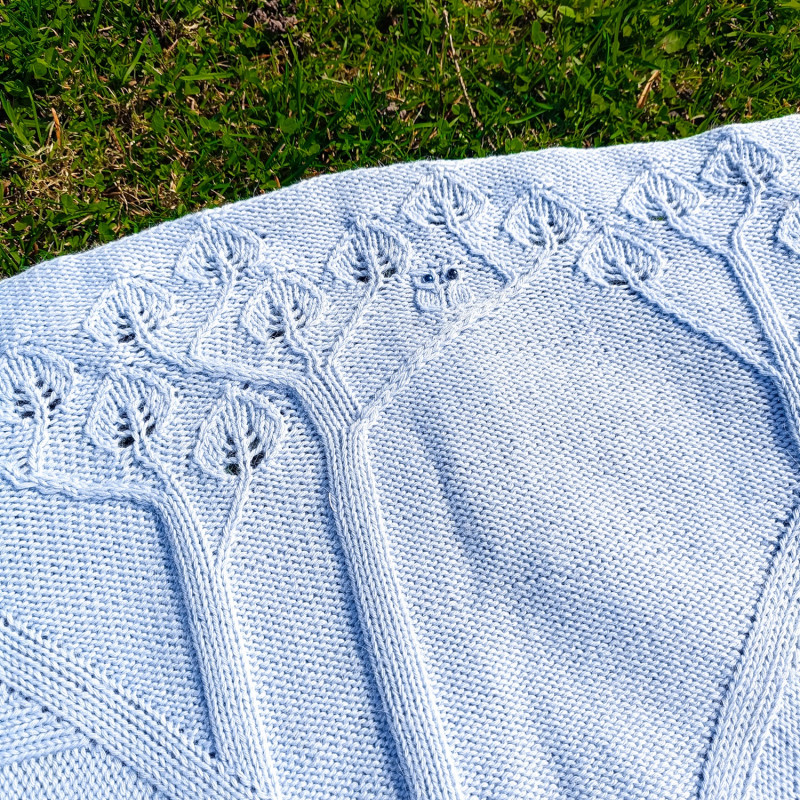 Pledukas „Pelėda”