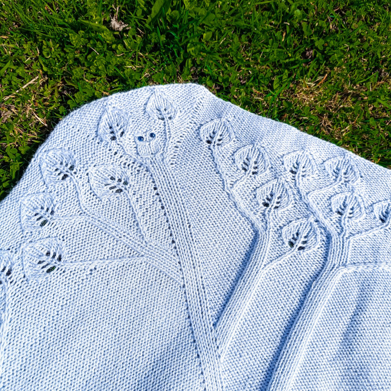 Pledukas „Pelėda”