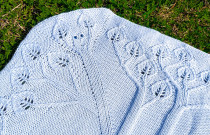 Pledukas „Pelėda”