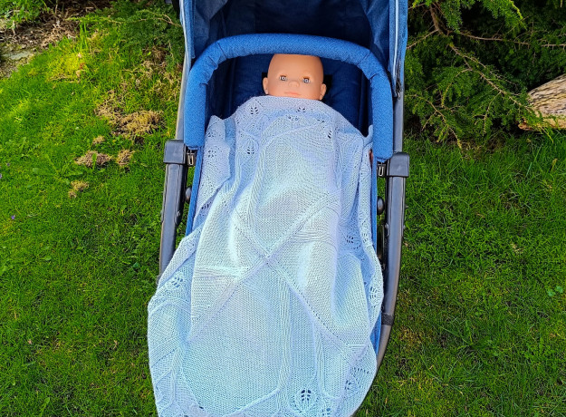 Pledukas „Pelėda”