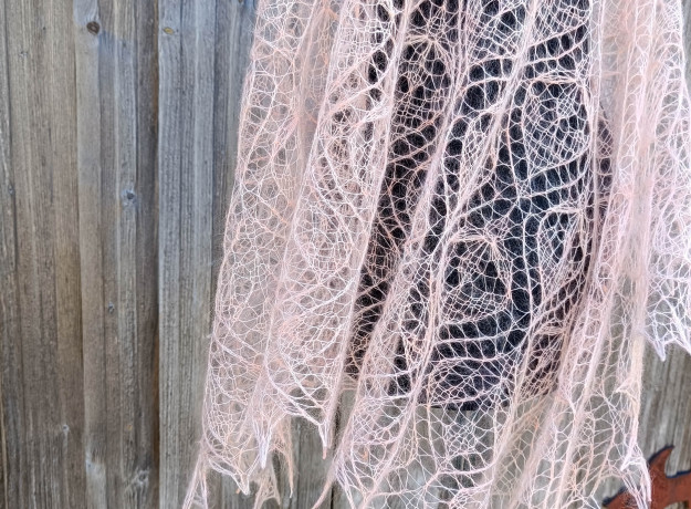 Skara „Žiemos Orchidėja”