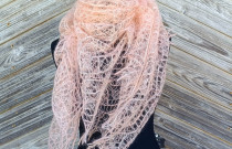 Skara „Žiemos Orchidėja”