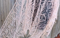 Skara „Žiemos Orchidėja”