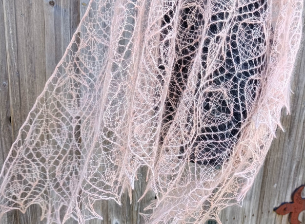 Skara „Žiemos Orchidėja”