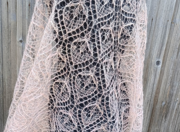 Skara „Žiemos Orchidėja”