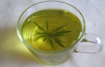 Ekologiška kanapių arbata 