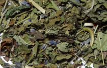 Arbata ŠVIESIOMS MINTIMS 