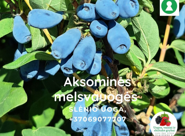 Aksominės melsvauogės (valgomojo sausmedžio uogos) 1 kg