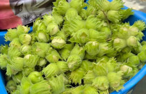 Lazdyno riešutai (žali)