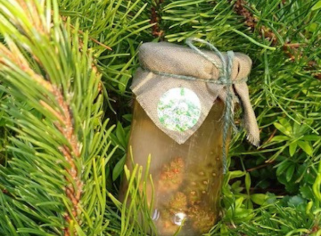 Kankorėžių Sirupas 190ml