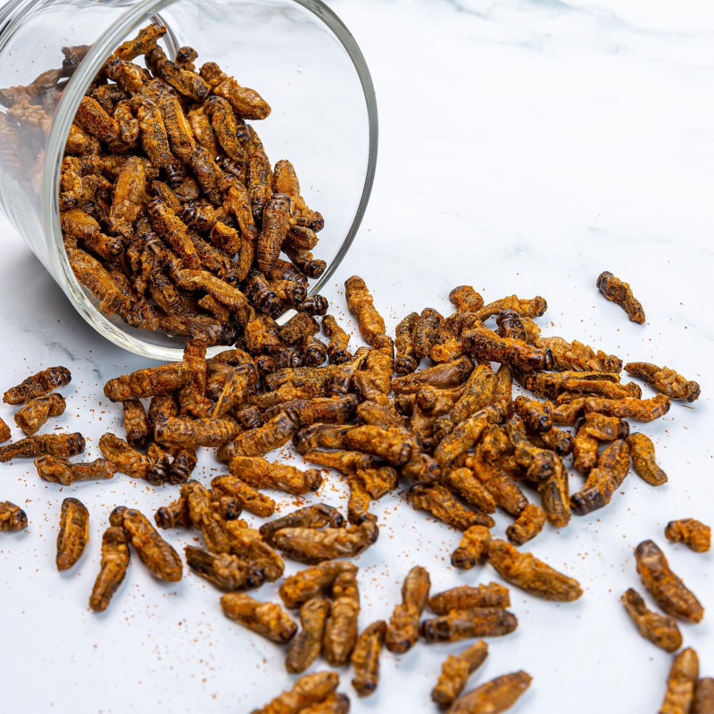 Džiovinti svirpliai (čili pipirais ir rūkyta paprika)