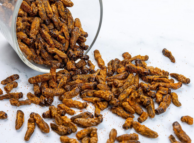 Džiovinti svirpliai (čili pipirais ir rūkyta paprika)