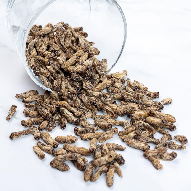 Dovanų rinkinys: TASTIK svirplių skonių kolekcija