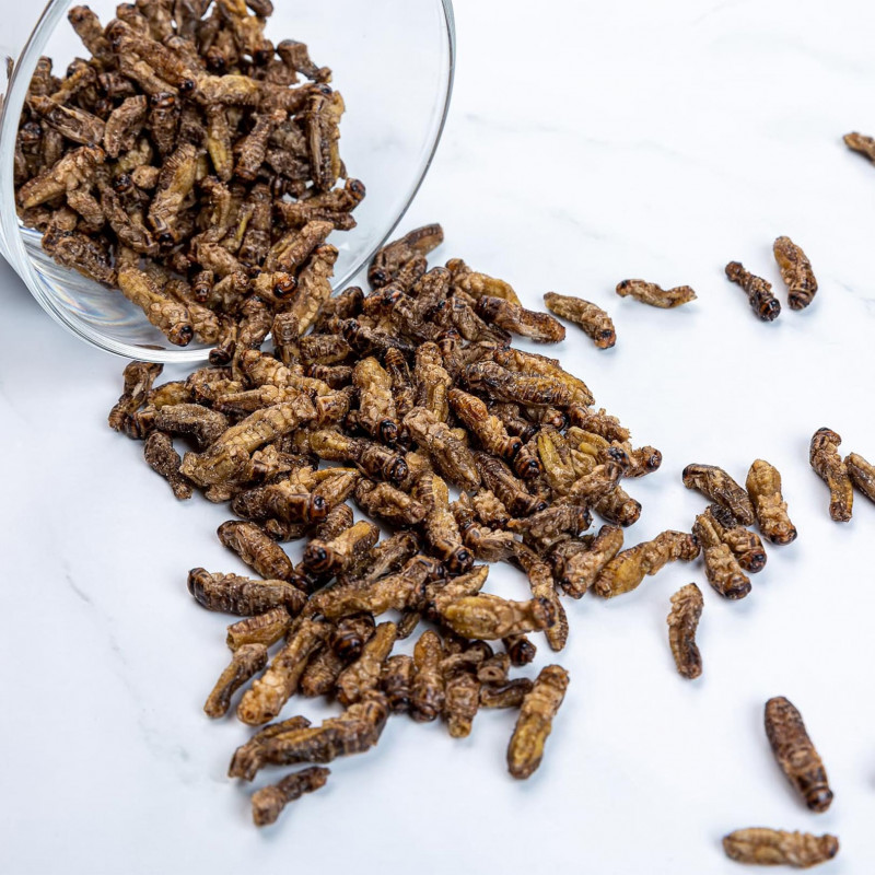 Dovanų rinkinys: TASTIK svirplių skonių kolekcija