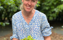 Lazdyno riešutai (žali)