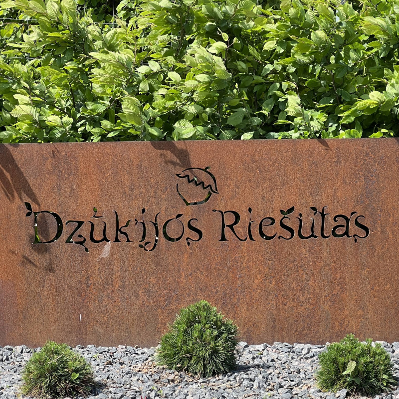 Lazdyno riešutai (žali)