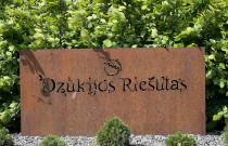 Lazdyno riešutai (žali)