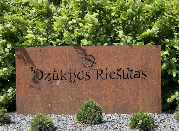 Lazdyno riešutai (žali)