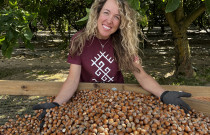 Lazdyno riešutai (rudi)