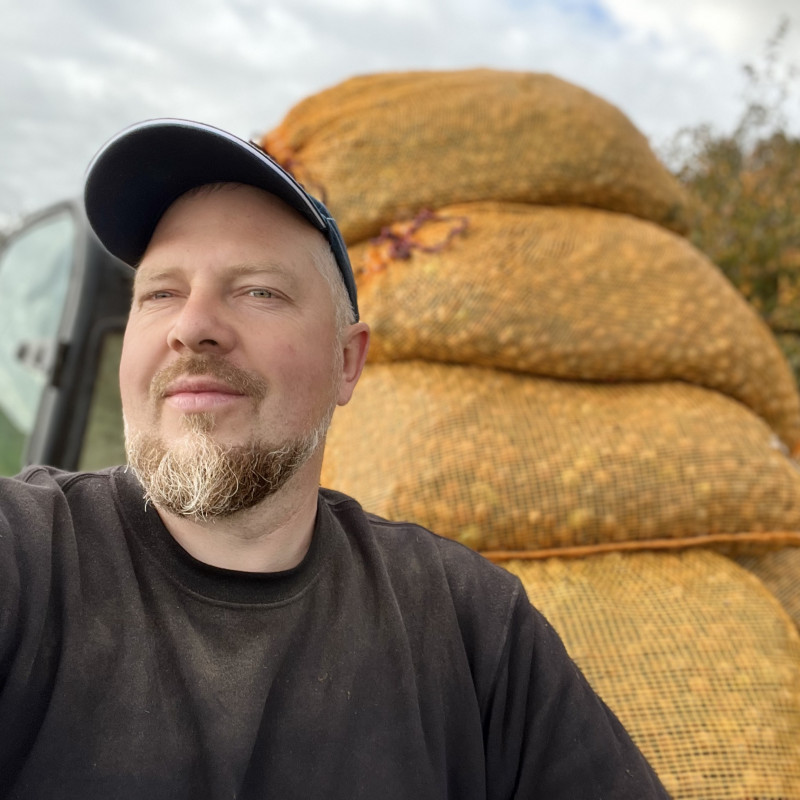 Lazdyno riešutai (rudi)