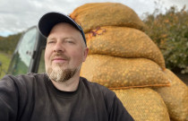 Lazdyno riešutai (rudi)