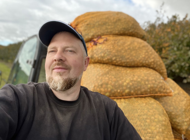 Lazdyno riešutai (rudi)