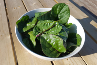 Egoztiškieji špinatai 100 g