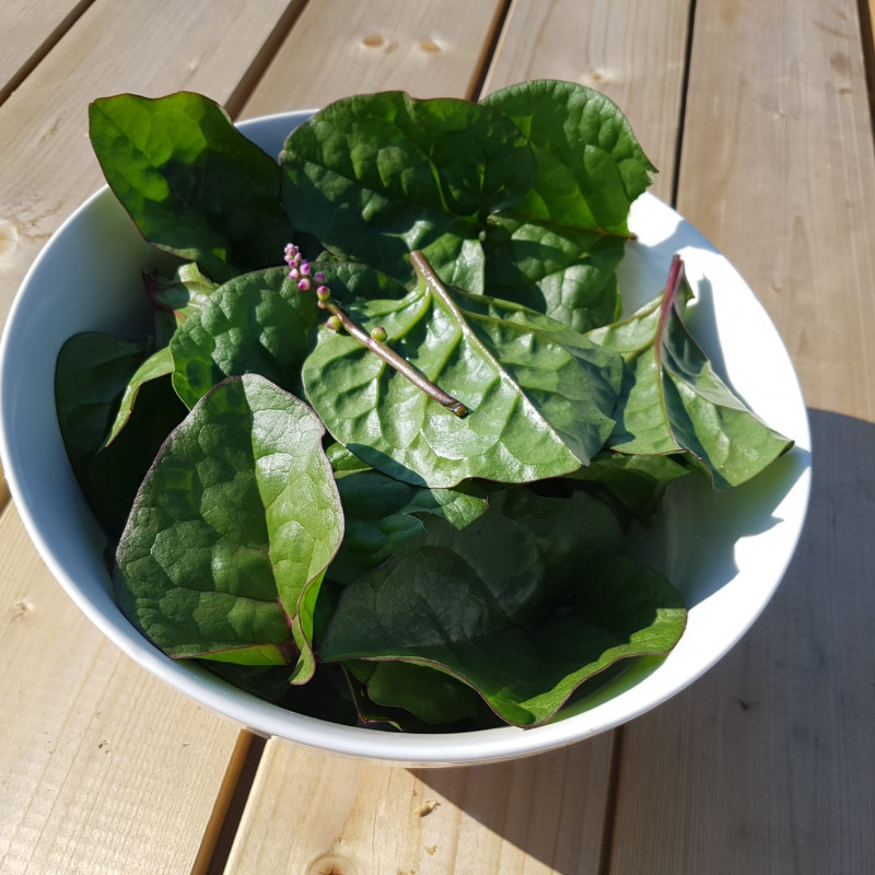 Egoztiškieji špinatai 100 g