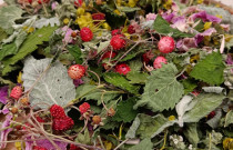 Arbata „Ramiam poilsiui”