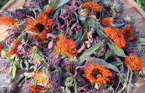 Arbata „9 galios”