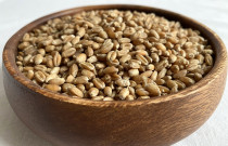 Kviečių grūdai 700 g