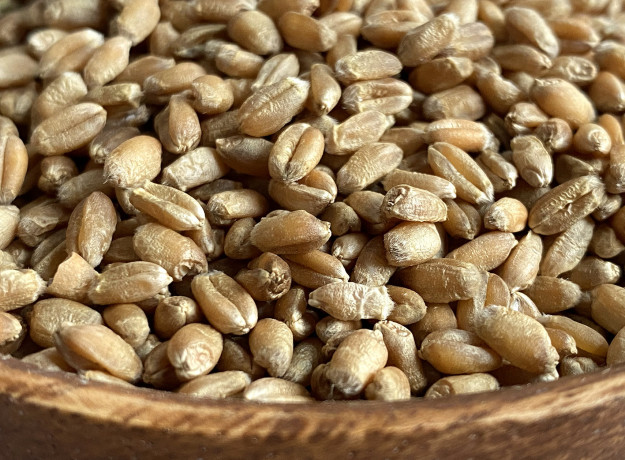 Kviečių grūdai 700 g