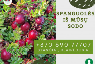 Lietuviškos spanguolės, l