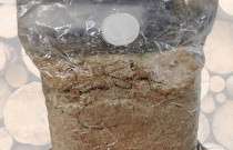 Shiitake 4 litrai pjuvenų rąstams