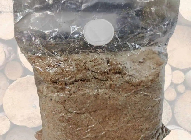 Gluosninės kreivabudės 4 l pjuvenų rąstams