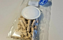 Citrininės kreivabudės 30 kaištelių rąstams