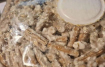 Paprastasis kelmutis 1000 kaištelių rąstams