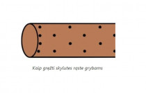 Liūto karčiai 4 l pjuvenų rąstams