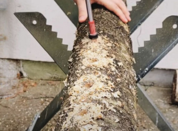 Liūto karčiai 4 l pjuvenų rąstams