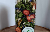 Žolelių arbata „Vasaros mozaika”