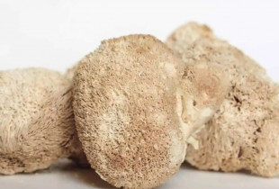 Džiovinti liūto karčių...