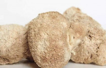 Liūto karčių tinktūros gamybos komplektas