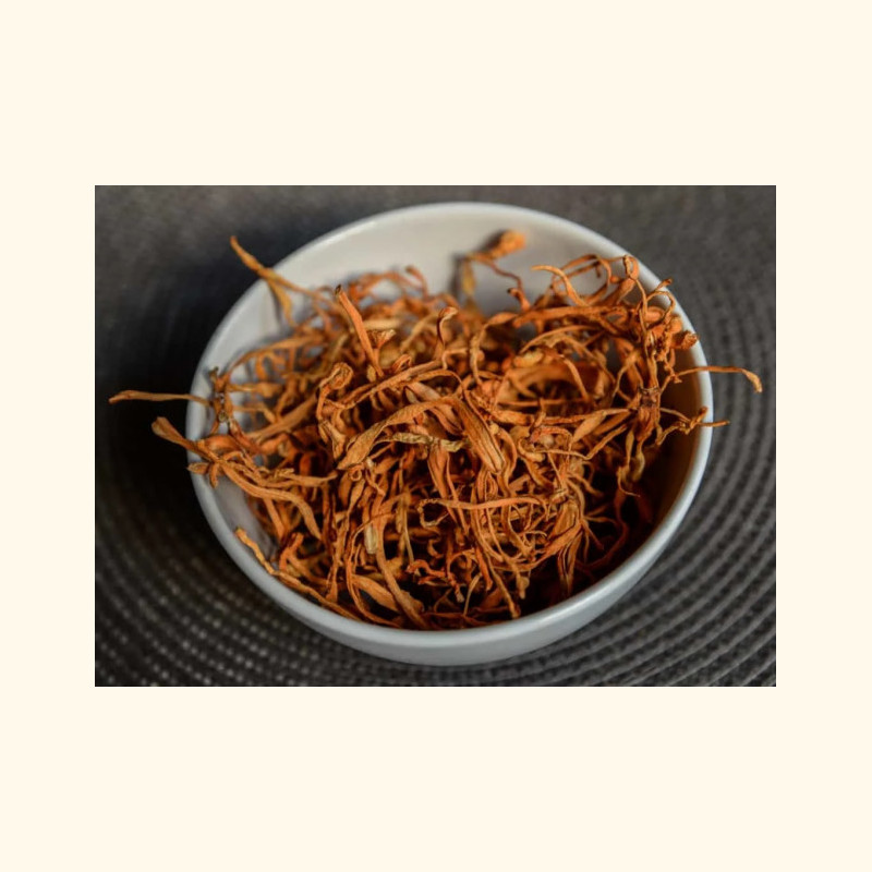 Cordyceps tinktūros gamybos komplektas
