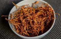 Cordyceps tinktūros gamybos komplektas