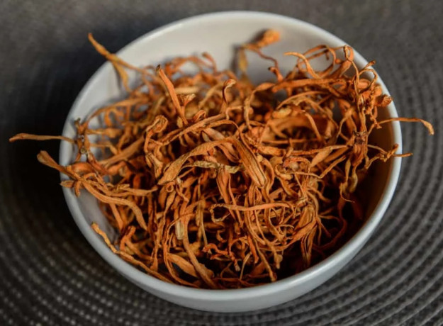 Cordyceps tinktūros gamybos komplektas