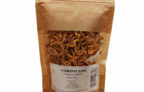 Cordyceps tinktūros gamybos komplektas