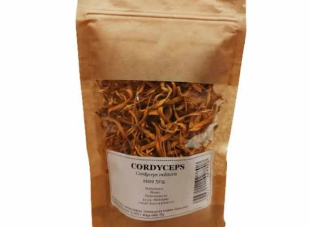 Cordyceps tinktūros gamybos komplektas