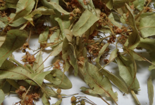 Arbata LIEPŽIEDŽIŲ 