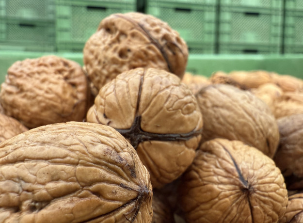 Graikiniai riešutai